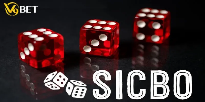 Giới thiệu vài nét về sicbo V9bet