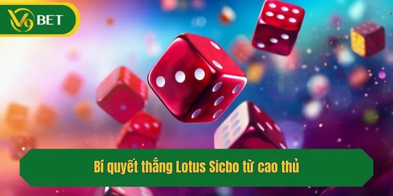 Bí quyết thắng Lotus Sicbo từ cao thủ