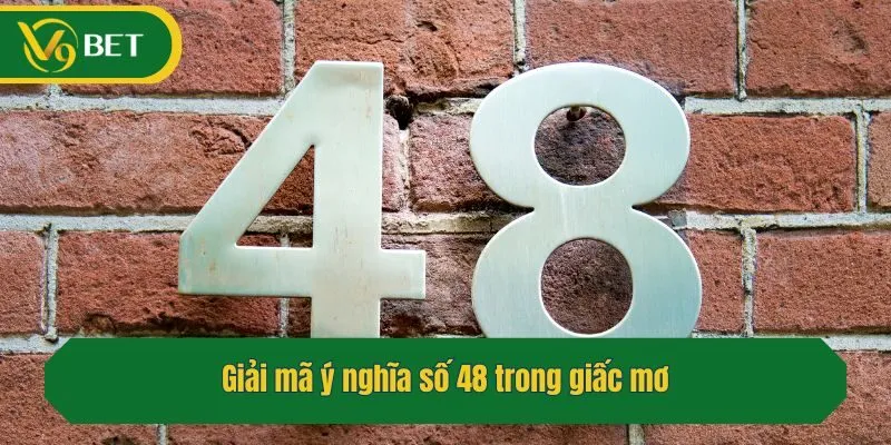 Giải mã ý nghĩa số 48 trong giấc mơ